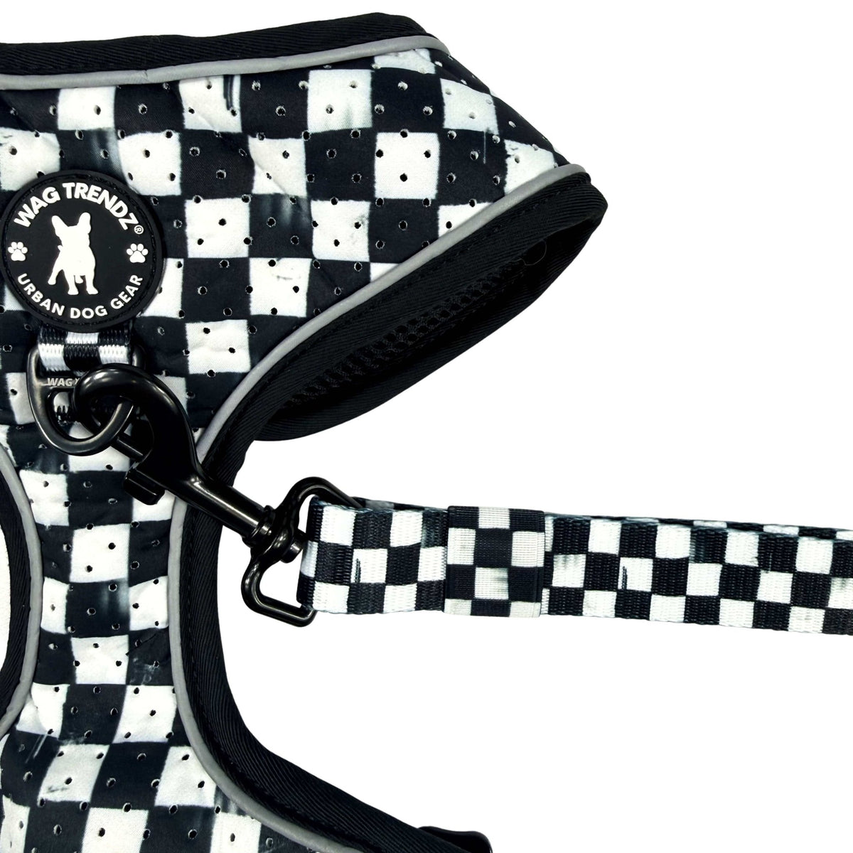 Cooling dog harness with matching black and white checkered leash and Wag Trendz® logo