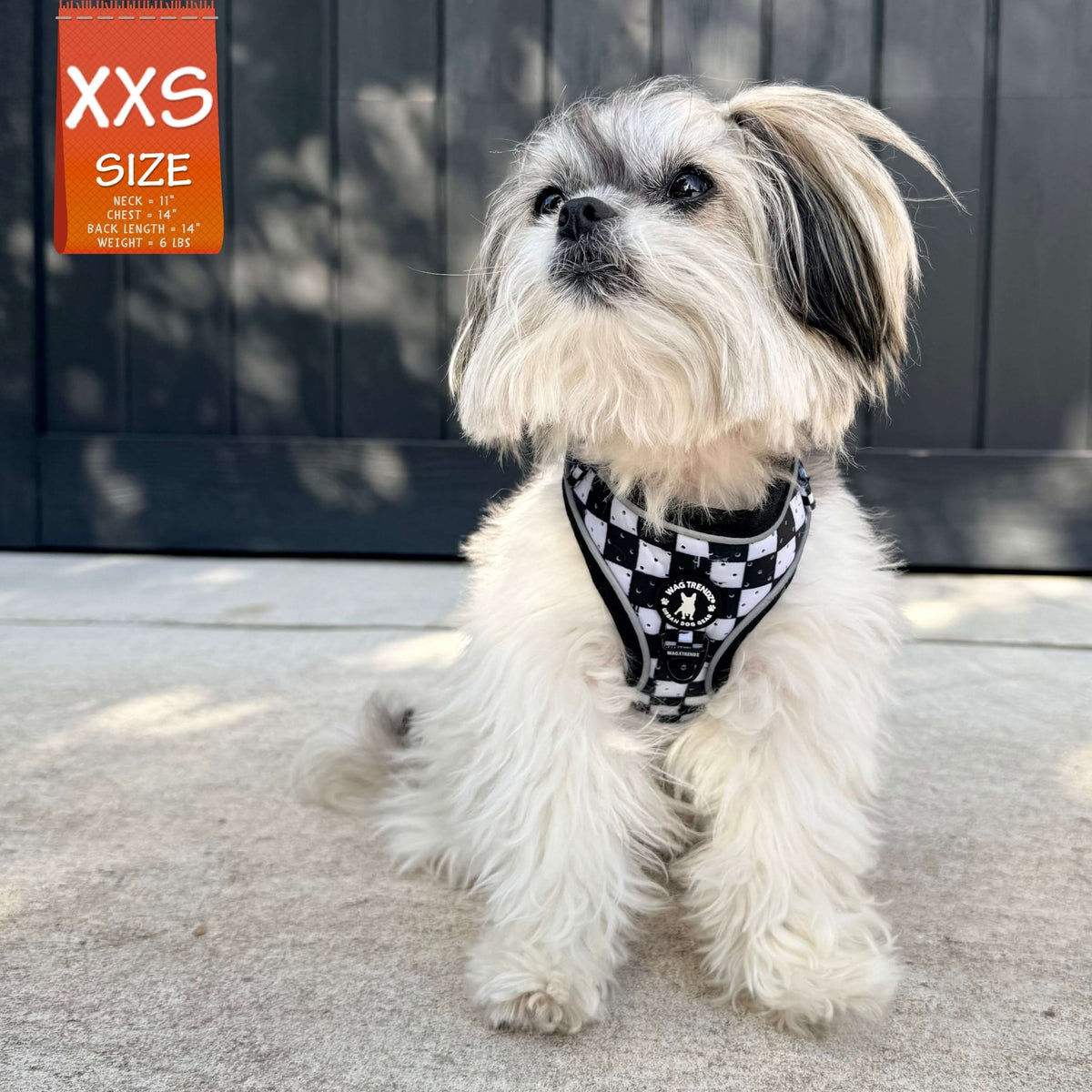 Cooling dog harness in XXS with black and white checkered design on a small fluffy dog sitting outdoors