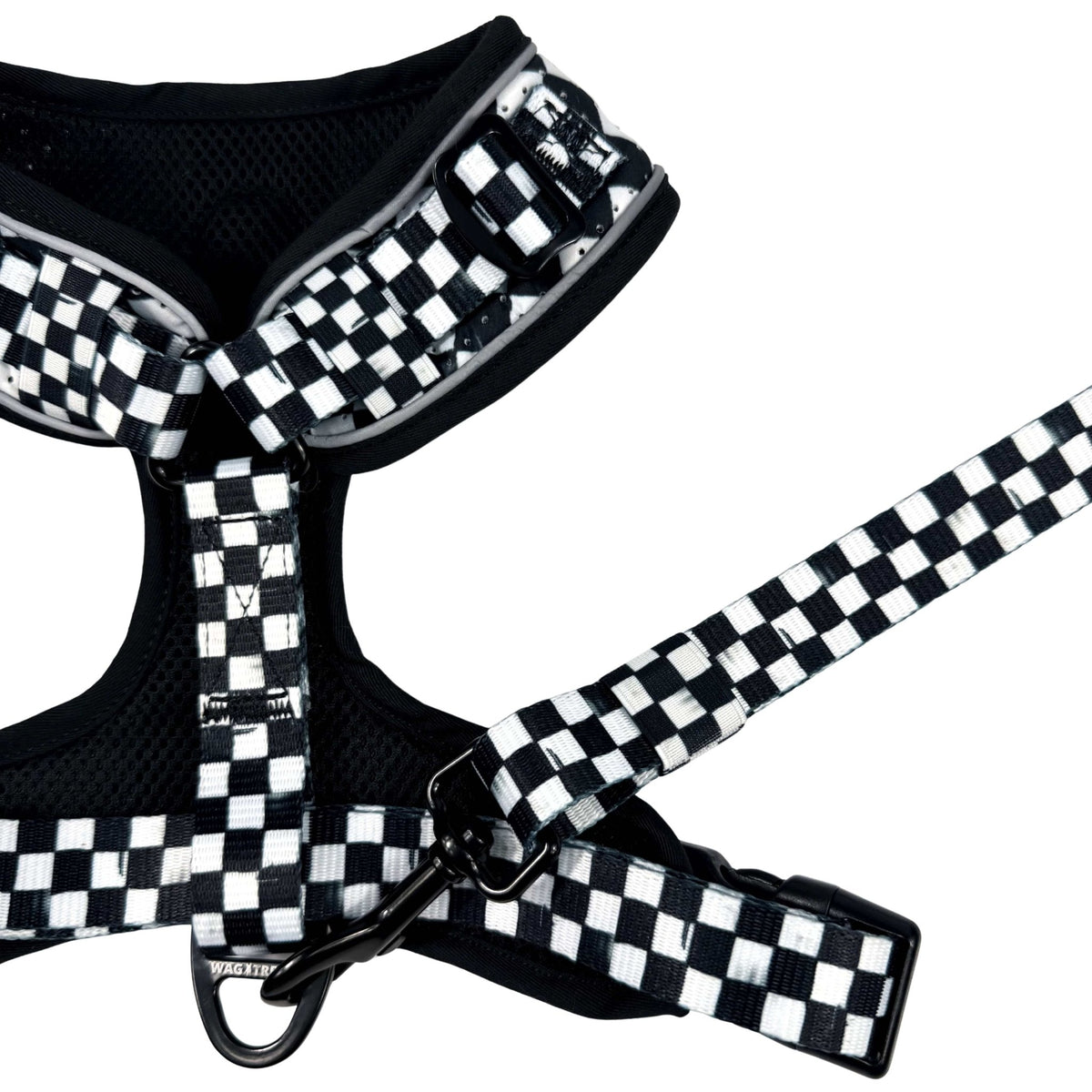 Cooling dog harness with black and white checkered design, matching leash, and black hardware