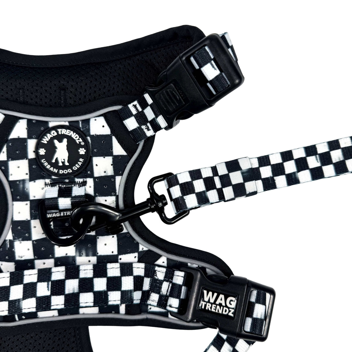 Cooling dog harness with handle, black buckles, and matching black and white checkered leash