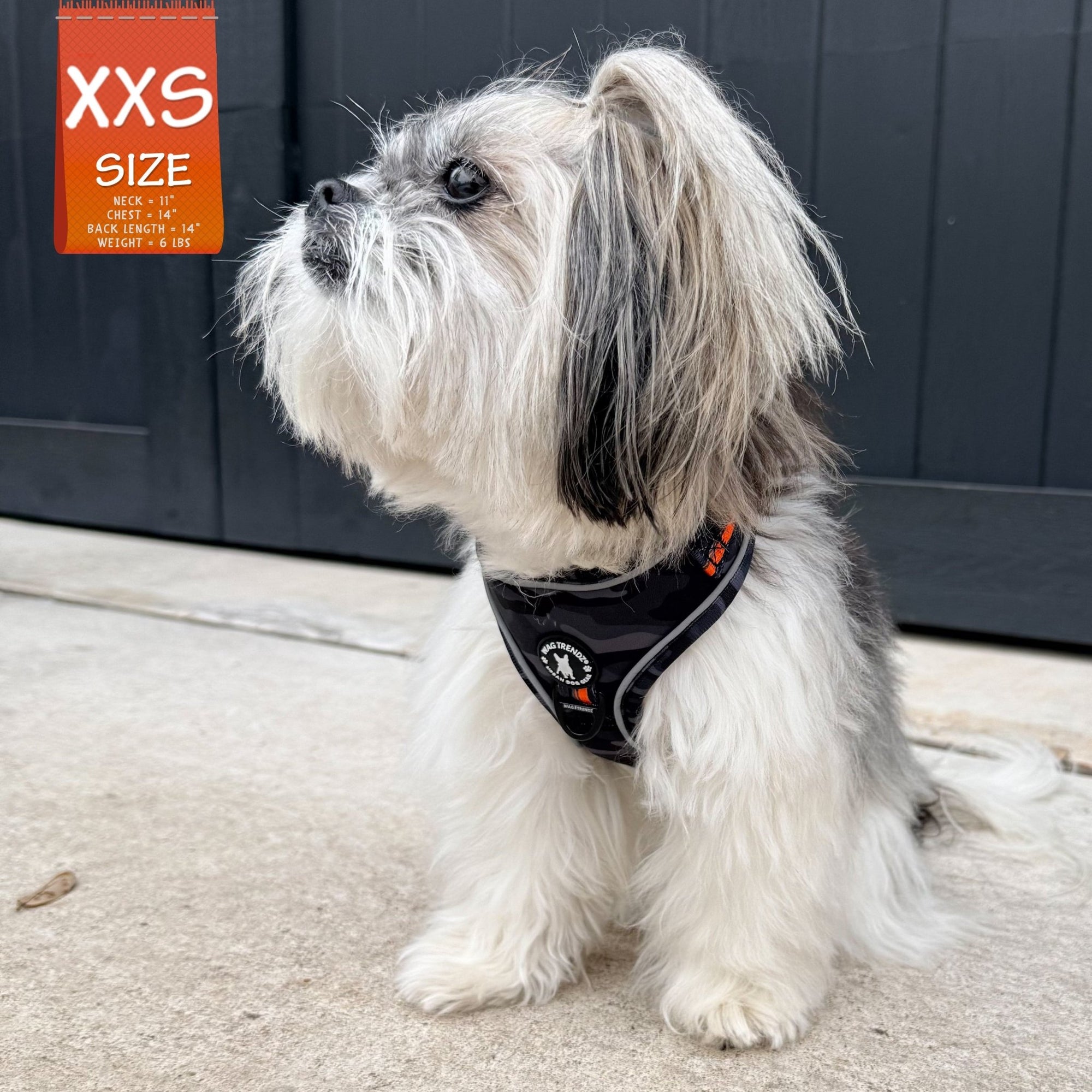 Dog Collar Harness and Leash Set - Small dog wearing Medium Dog Adjustable Harness in black &amp; gray camo with bold orange accents - sitting outdoors in the green grass - Wag Trendz