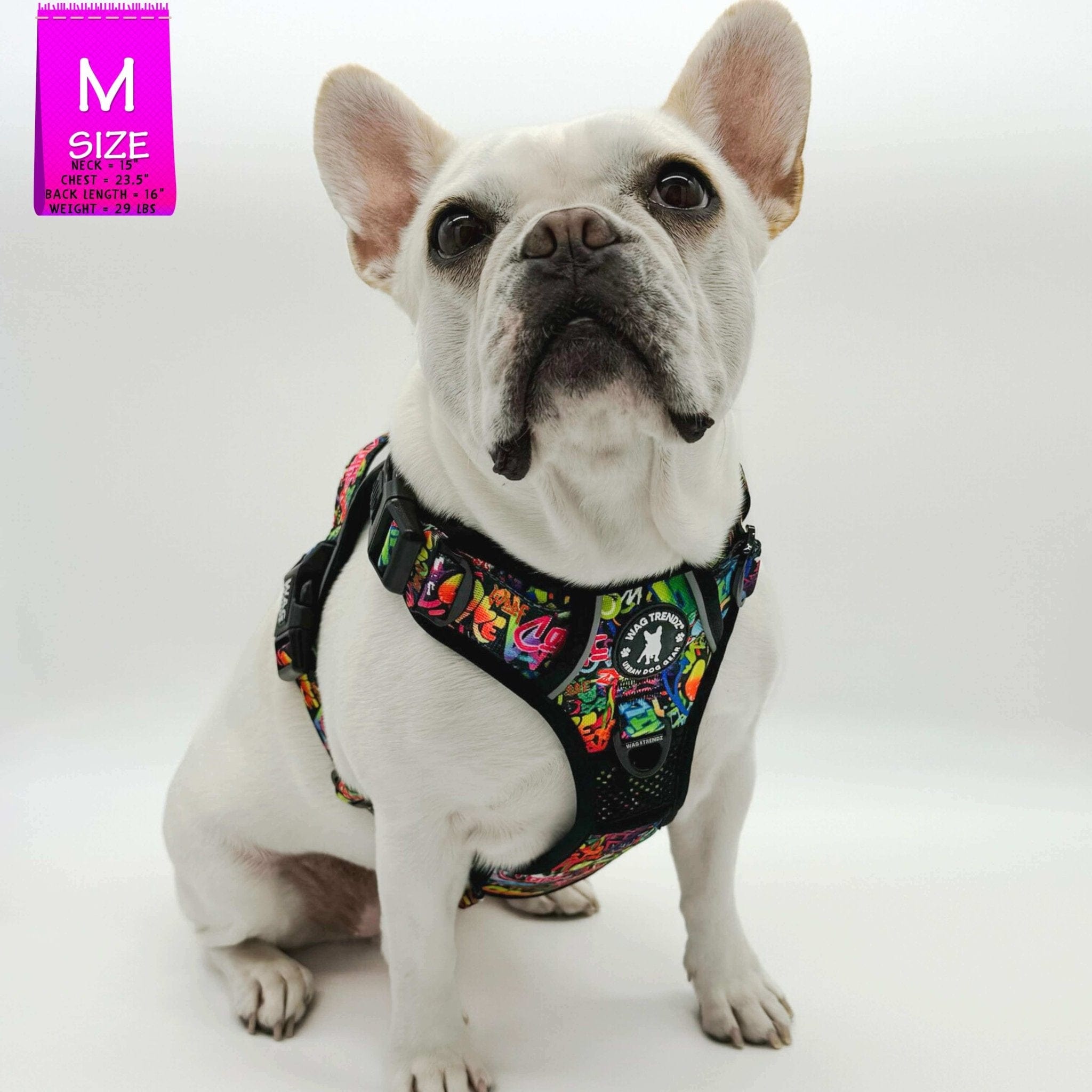Dog Harness and Leash Set - No Pull - Graffiti | Wag Trendz®