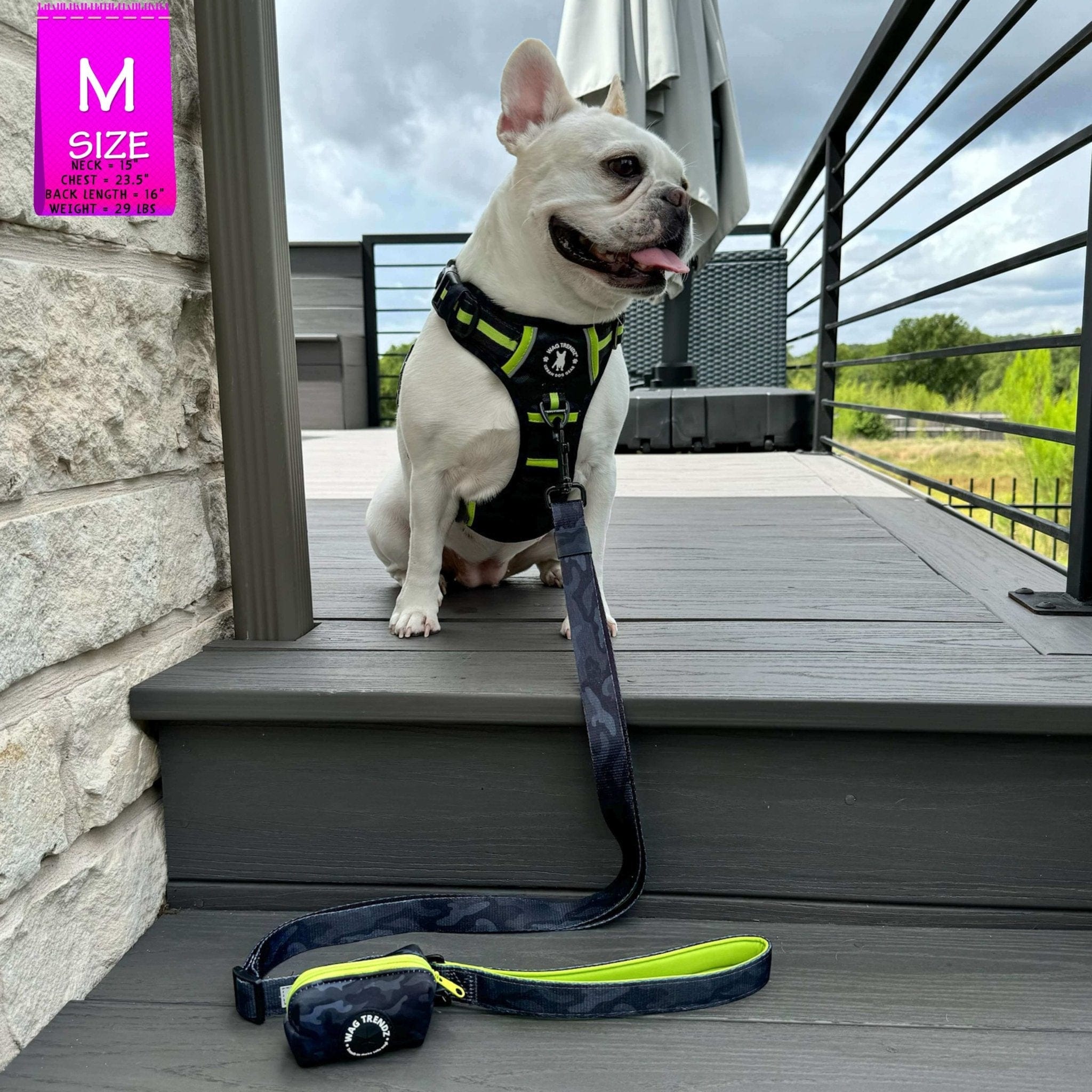 Dog Harness and Least Set + Poo Bag Holder | Wag Trendz®