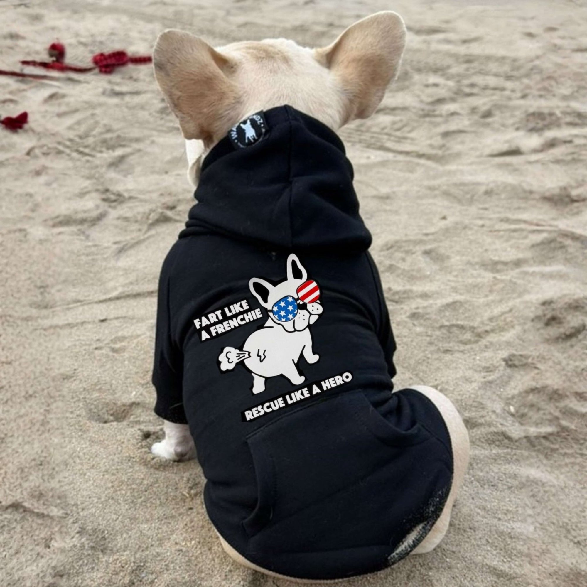 Dog wearing a black hoodie with Fart Like a Frenchie Rescue Like a Hero  on a sandy background
