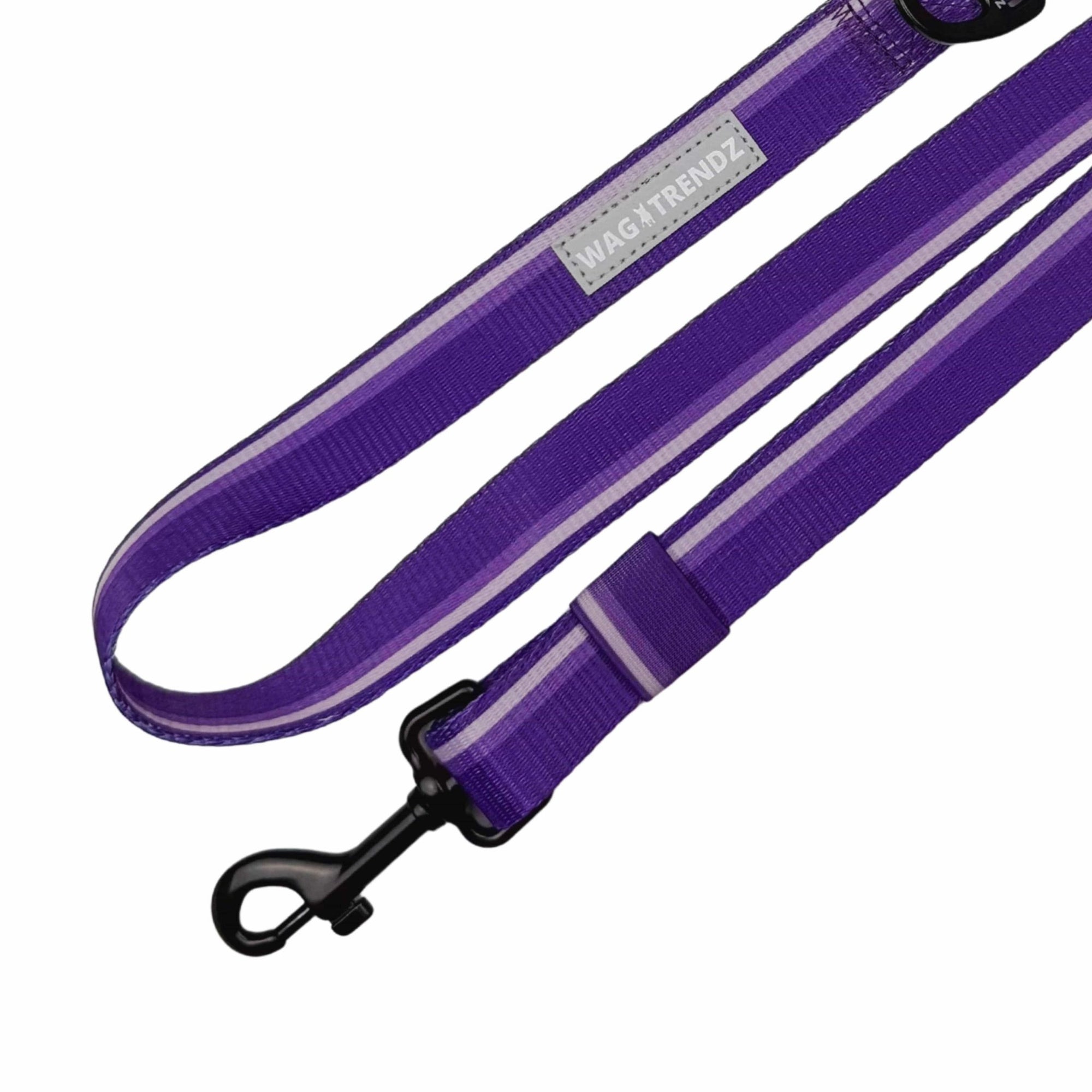 NeoCool Sport Adjustable leash in purple with reflective tag on a white background