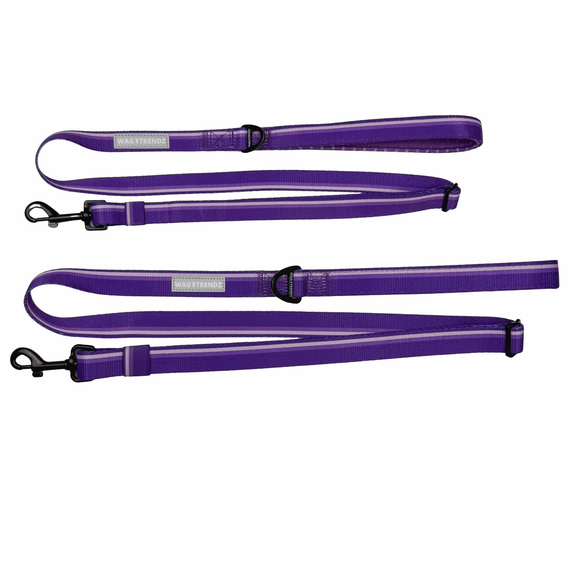 NeoCool Sport Adjustable leash in purple - with reflective tags and metal clips on a white background
