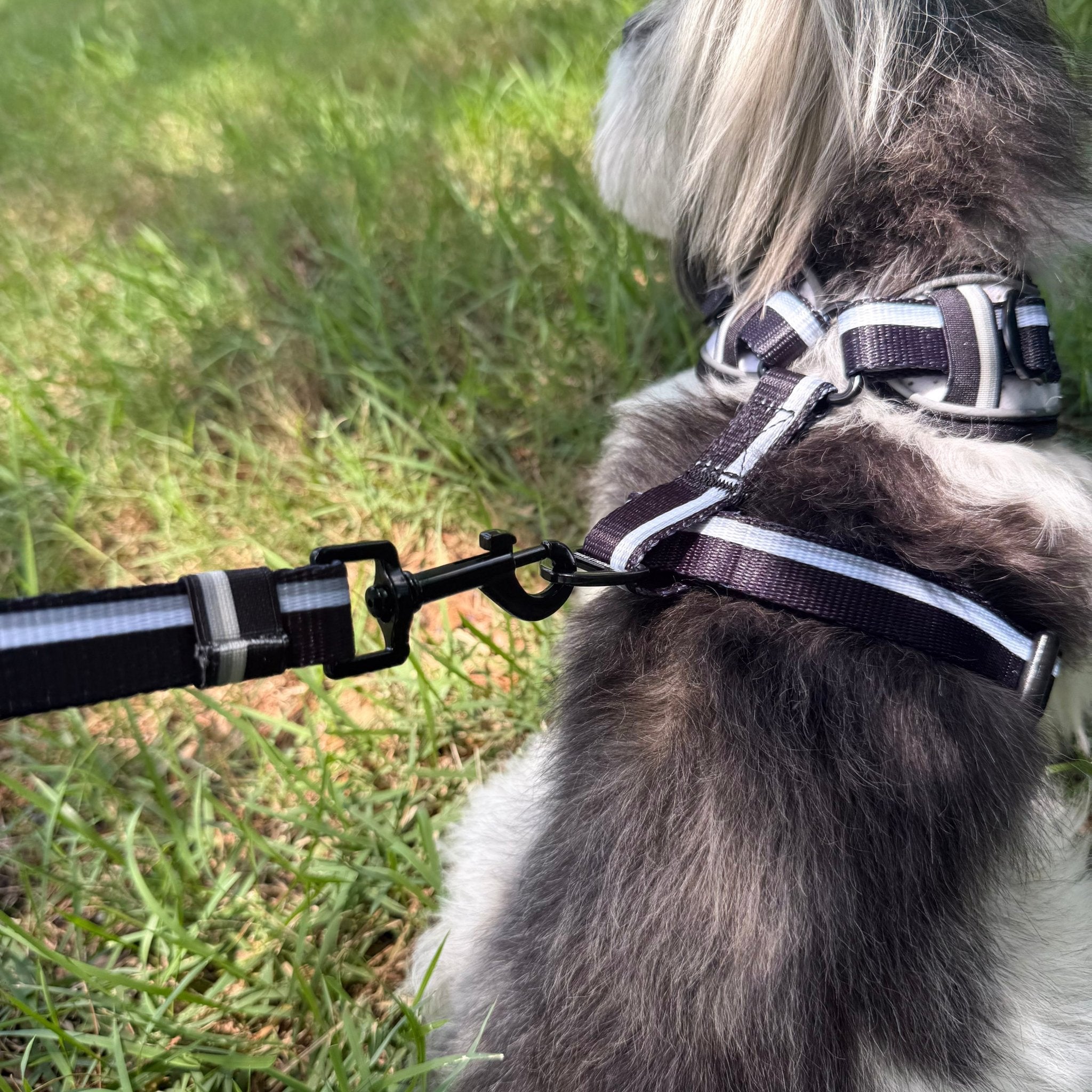 NeoCool™ Sport Adjustable Leash – Comfort, Control & Style