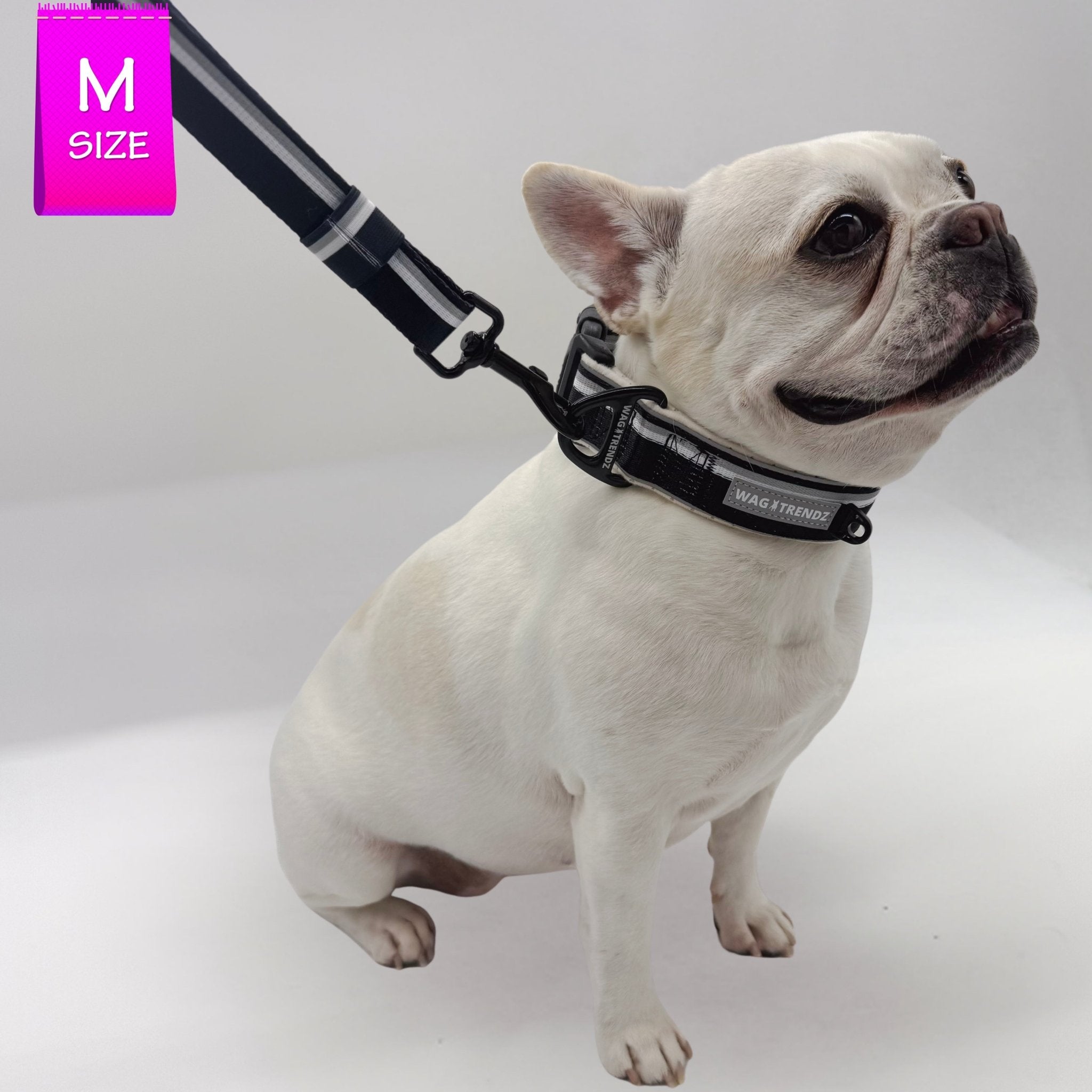 NeoCool™ Sport Adjustable Leash – Comfort, Control & Style