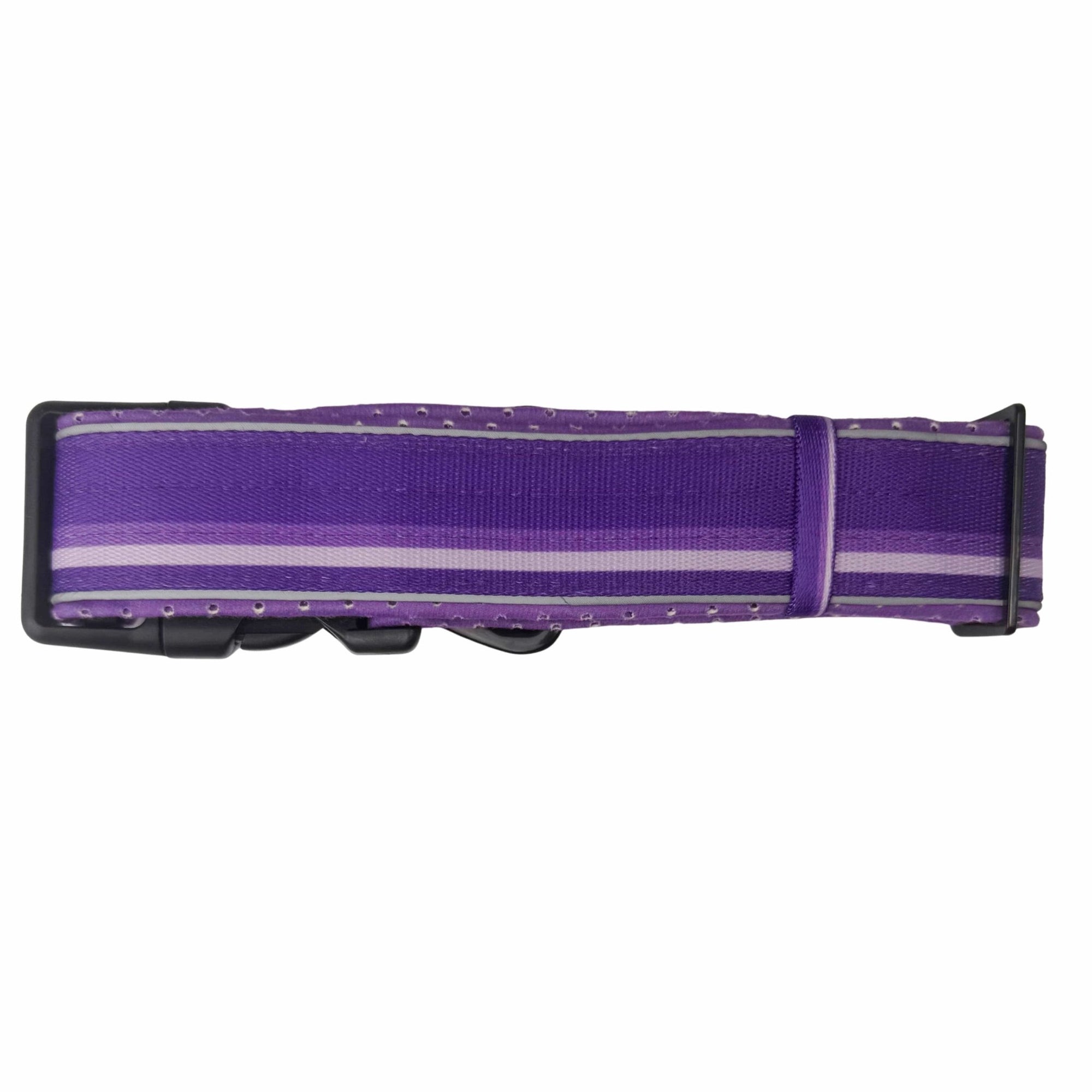 NeoCool™ Sport Dog Collar in Purple with reflective piping on a white background