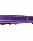 NeoCool™ Sport Dog Collar in Purple with reflective piping on a white background