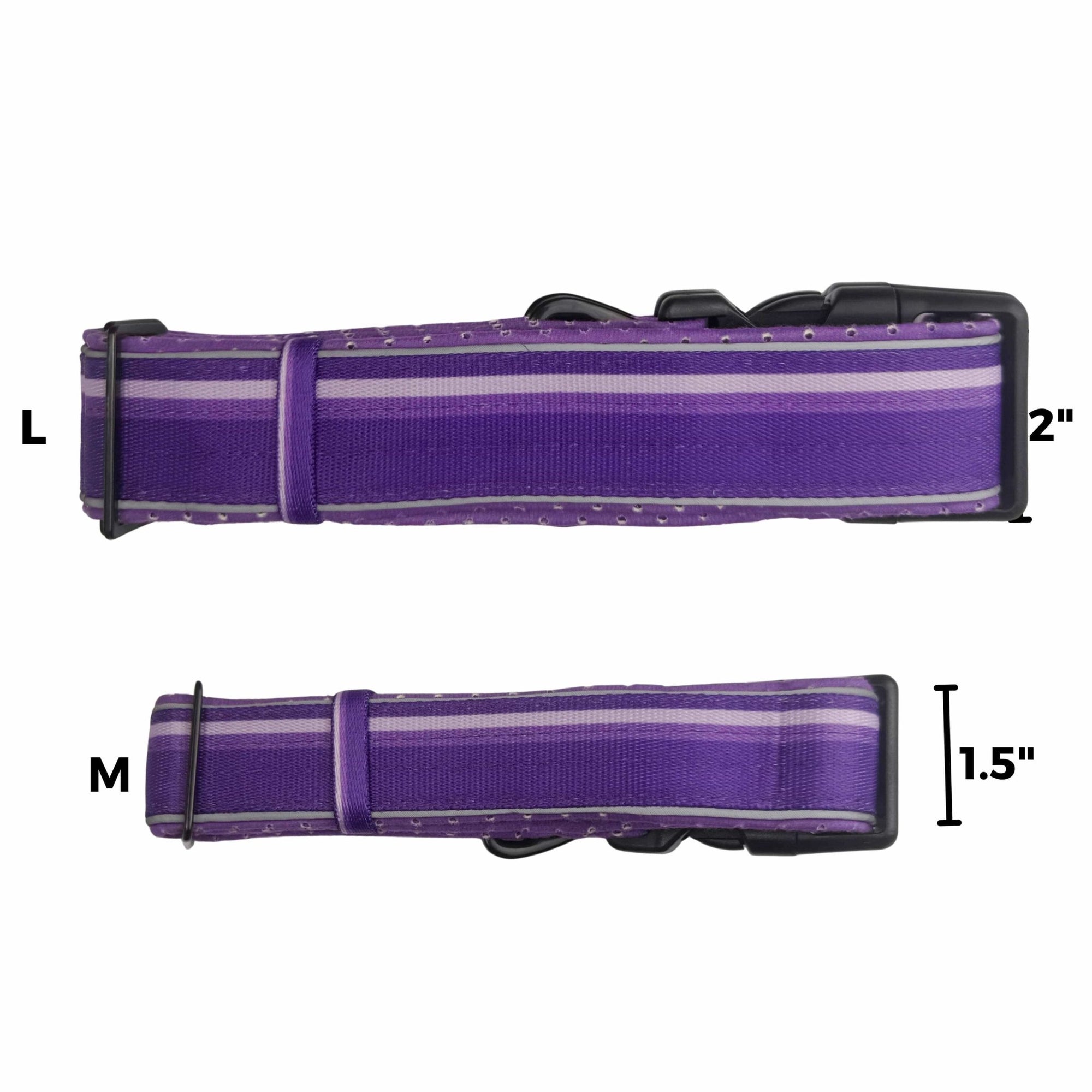Two NeoCool™ Sport Dog Collars in Purple, one large and one medium, with measurements and two rows of reflective piping on a white background.