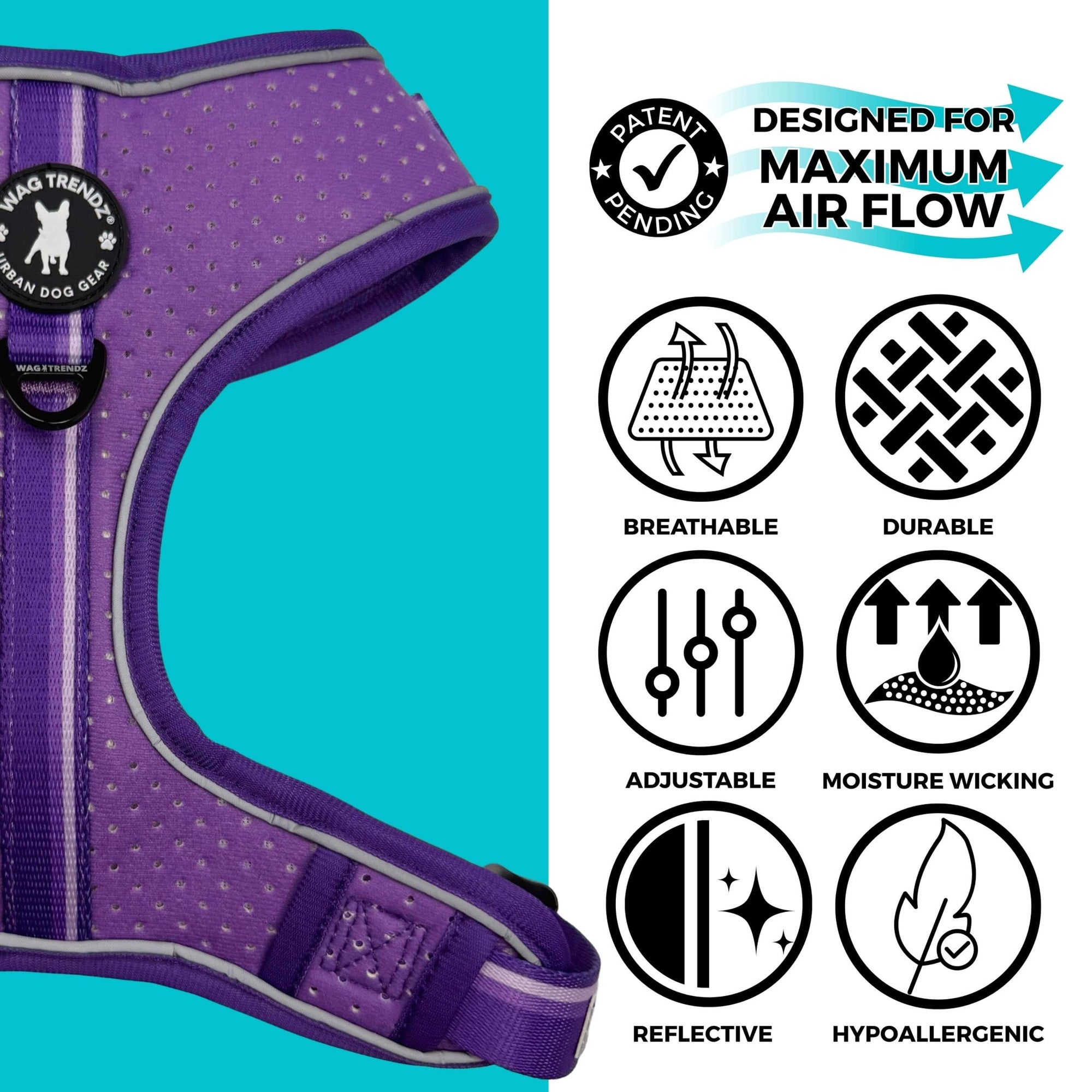 NeoCool Sport Dog Harness in Purple with features listed on a teal and white background
