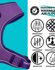 NeoCool Sport Dog Harness in Purple with features listed on a teal and white background