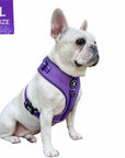 NeoCool Sport Dog Harness in Purple worn by French Bulldog with a L size label on a white background 