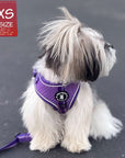 NeoCool Sport Dog Harness in Purple worn by a Small dog with an XS size label on a dark background