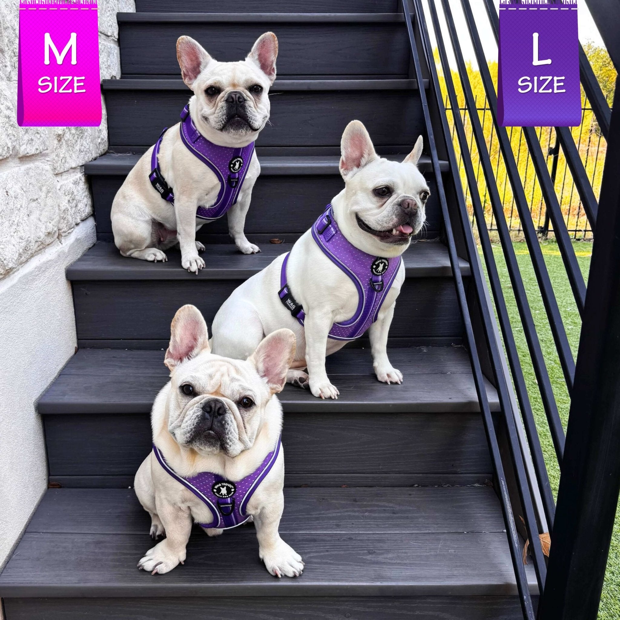 No Pull Dog Harness – NeoCool™ Sport Cooling Harness | Purple