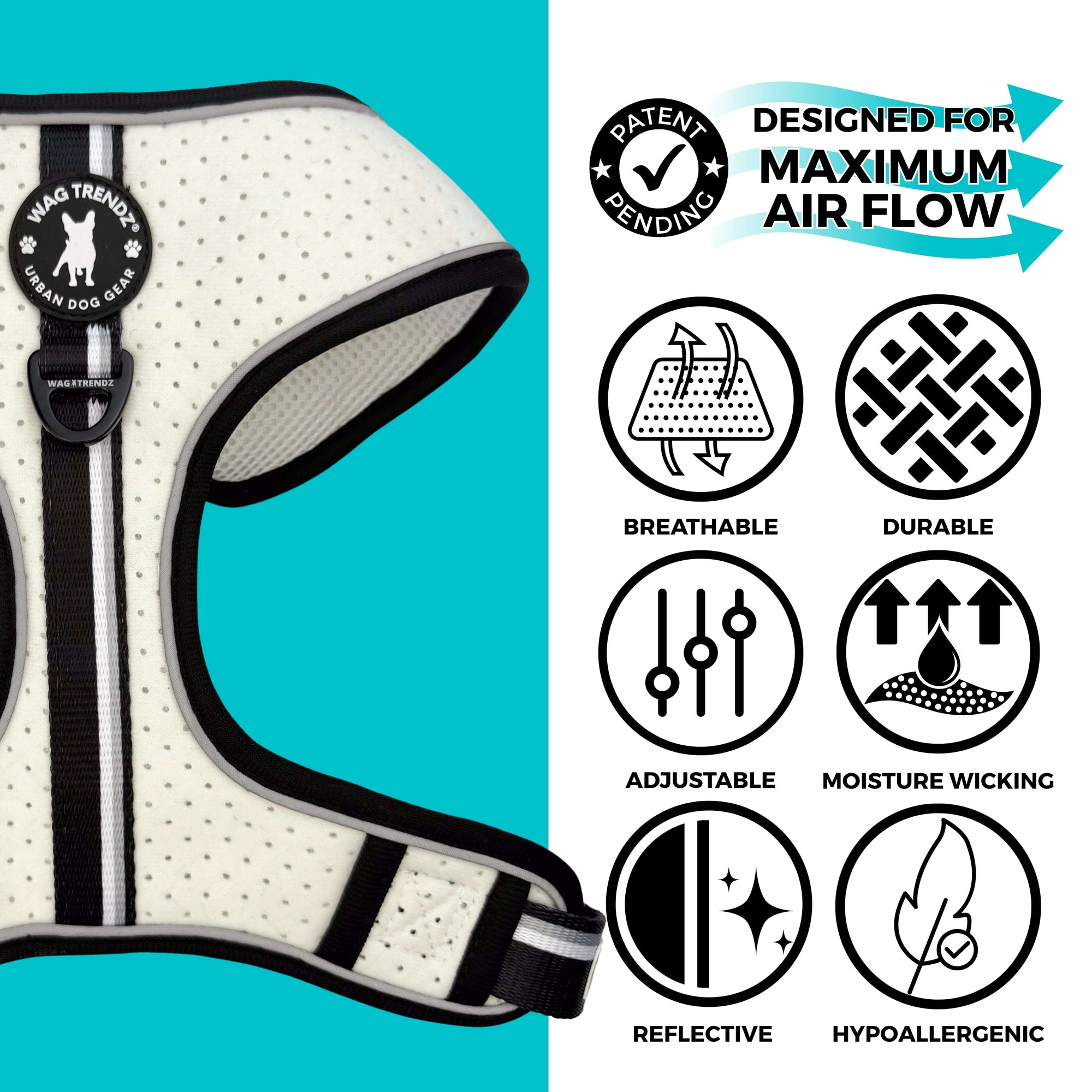 NeoCool Sport Dog harness with features listed on a blue and white background