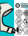 NeoCool Sport Dog harness with features listed on a blue and white background