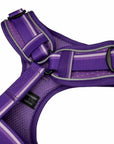 NeoCool Sport Dog Harness in Purple on a white background