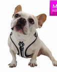 French Bulldog wearing NeoCool™ Sport Dog Harness in White with Black accents with a size label in the corner on a white background