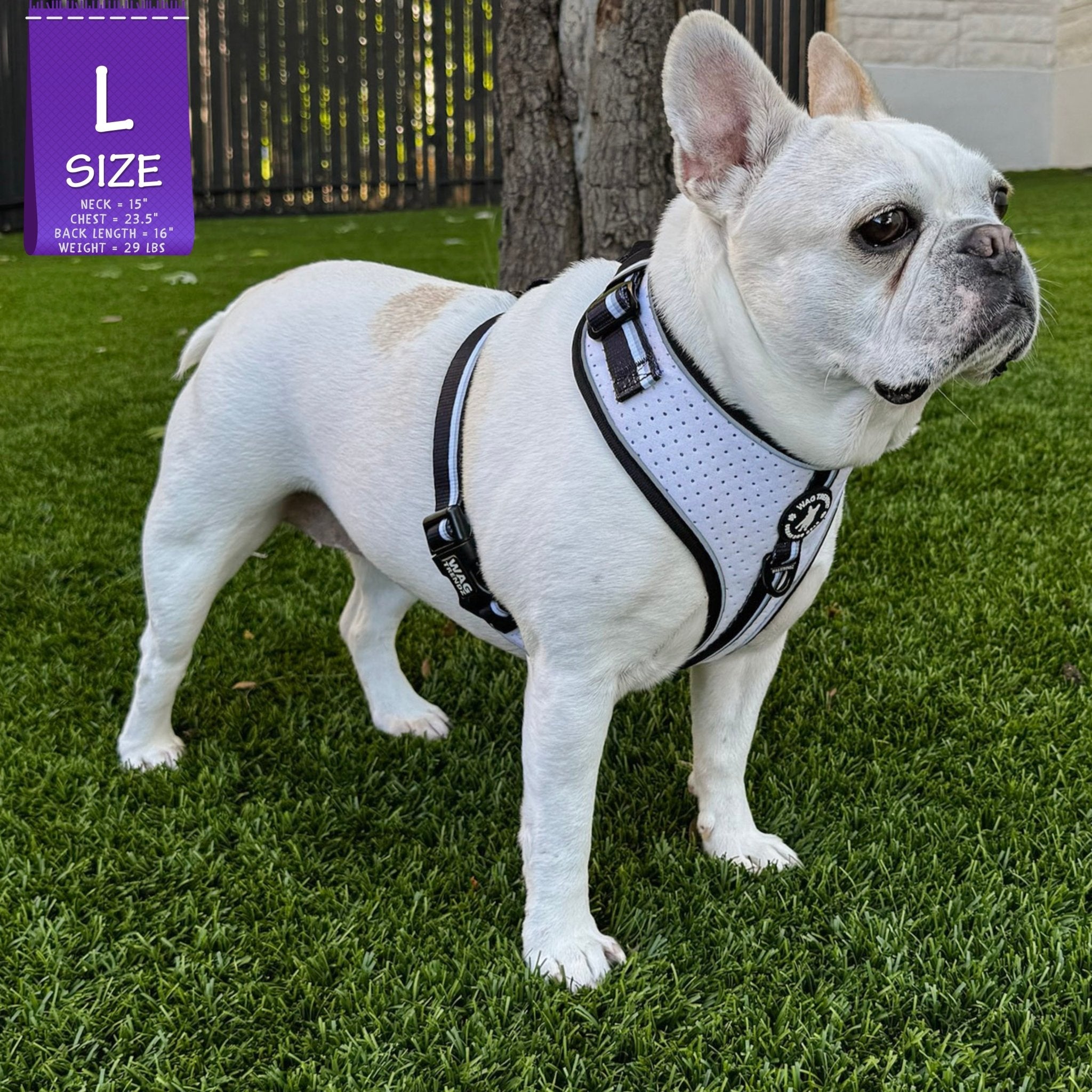 アクセサリー dog 0629 Redline K-9 3 Handle French Linen Gusset