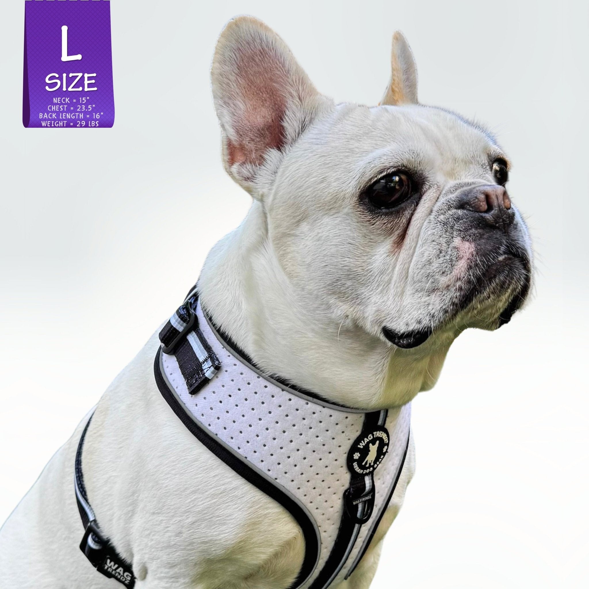 NeoCool™ Sport Dog Harness – Breathable, No-Pull, Patent Pending