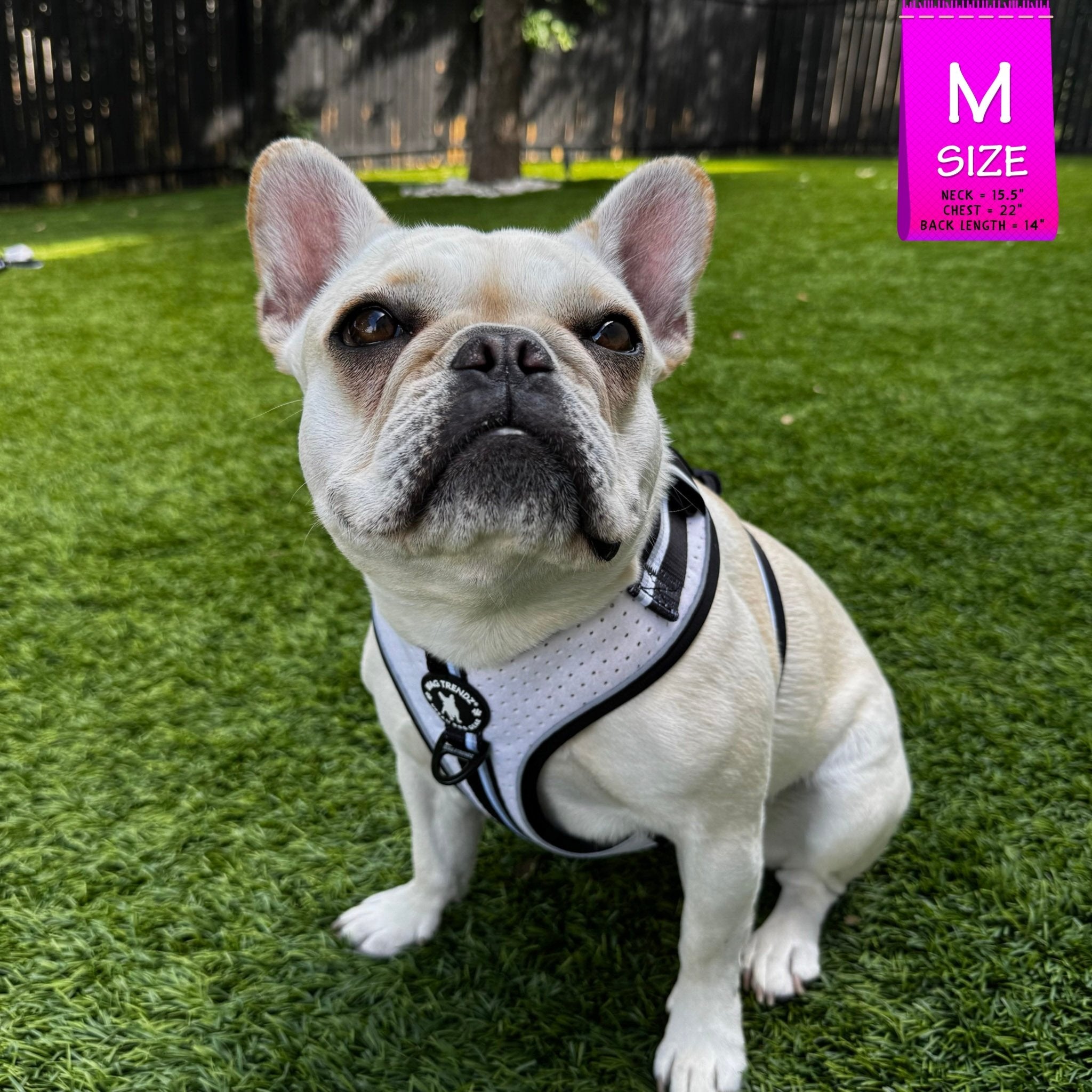 NeoCool™ Sport Dog Harness – Breathable, No-Pull, Patent Pending