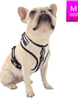 French Bulldog wearing NeoCool™ Sport No Pull Dog Harness in White with Black accents with a size label in the corner against a white background