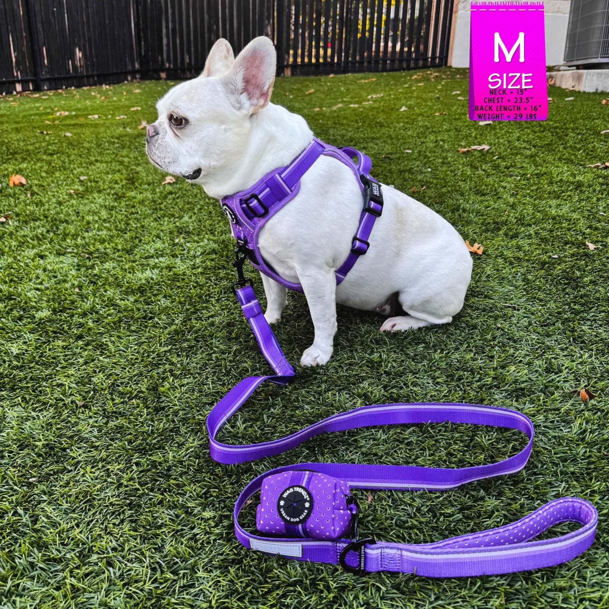 NeoCool™ Sport Dog Harness with Handle in purple worn by a French Bulldog with matching leash on a grass background with a &#39;M&#39; size label in the corner.