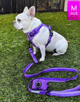NeoCool™ Sport Dog Harness with Handle in purple worn by a French Bulldog with matching leash on a grass background with a 'M' size label in the corner.