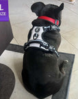 Black French Bulldog wearing a NeoCool™ Sport Dog Harness With Handle in white with black and gray accents on a tiled floor with a 'L Size' label.