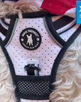 Large dog wearing NeoCool™ Sport Dog Harness With Handle in white and black with 'Wag Trendz' logo on a fluffy white dog chest