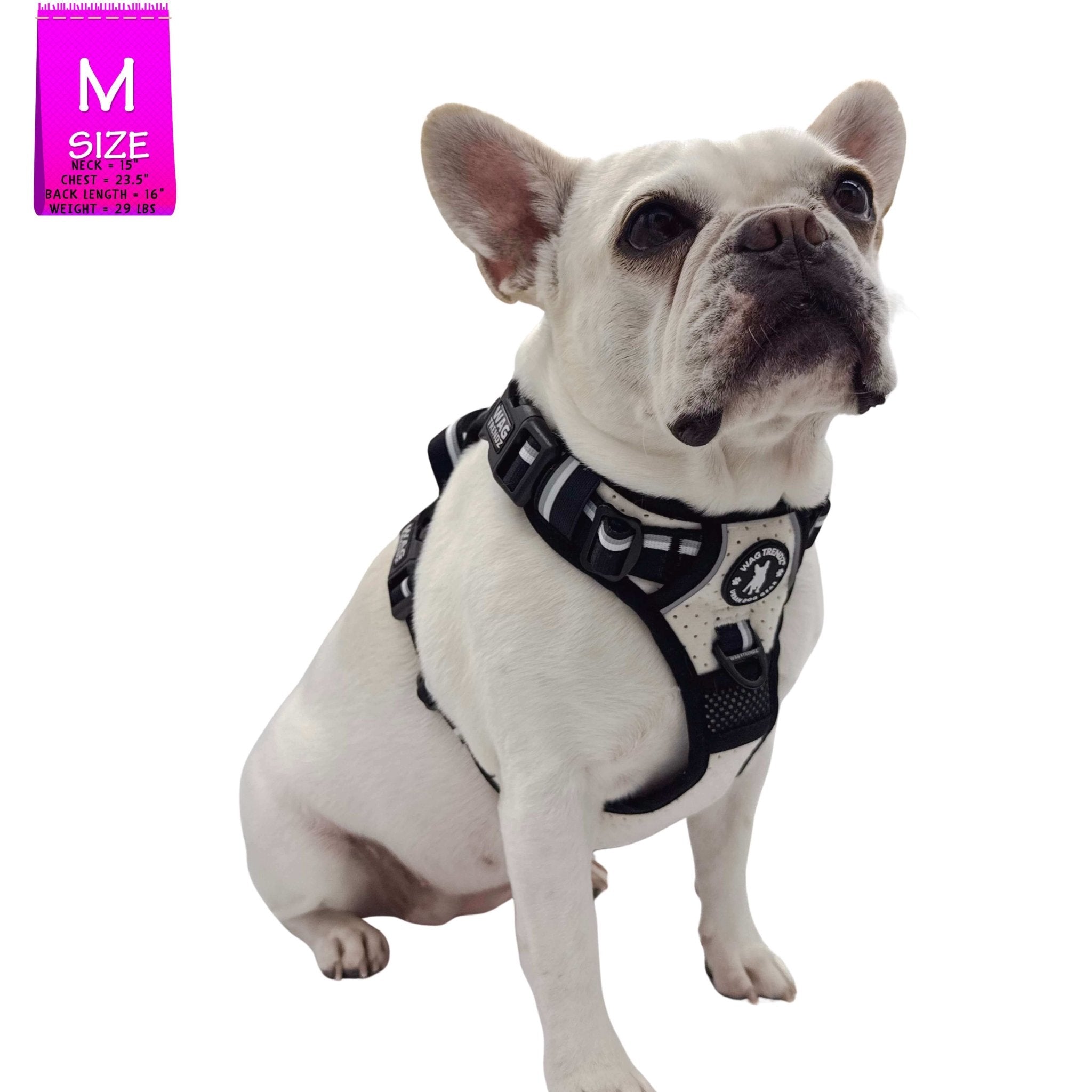 NeoCool™ Sport Dog Harness With Handle – Breathable & Cool