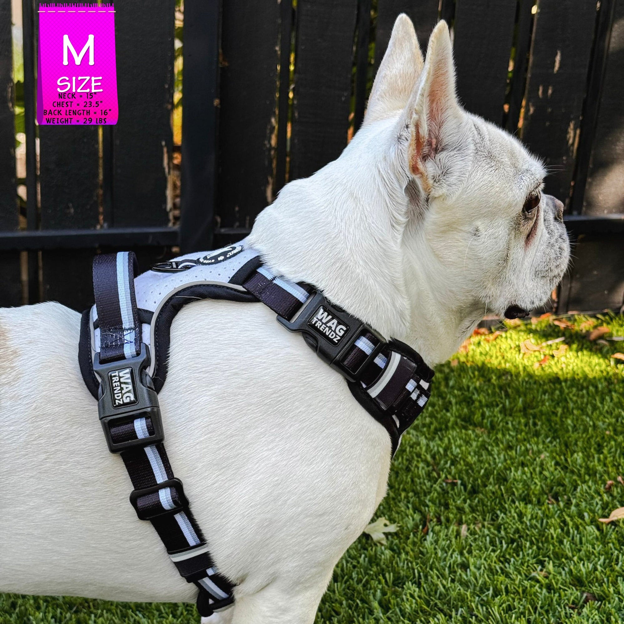 French Bulldog wearing a NeoCool™ Sport Dog Harness With Handle in white with black and gray accents on grass with a blurred background