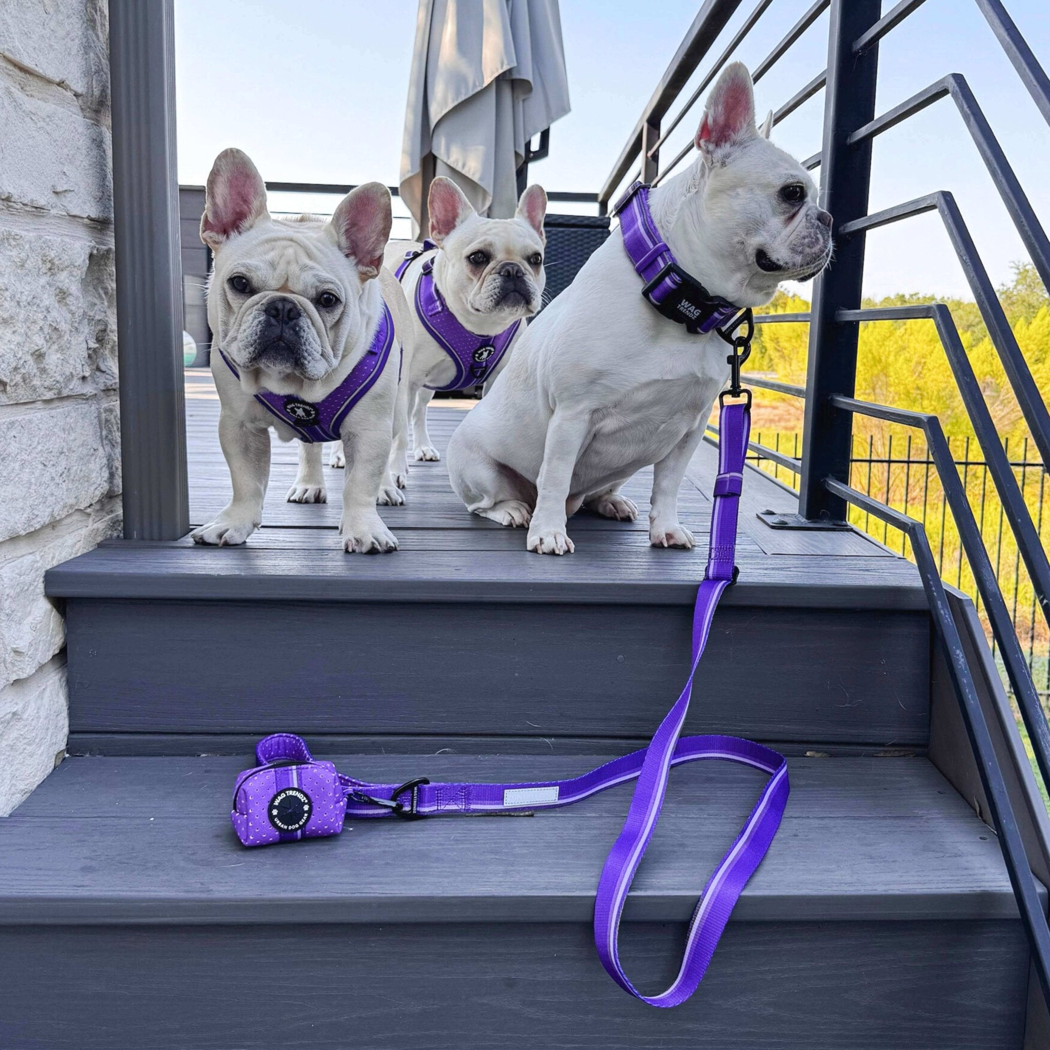 NeoCool™ Sport Poop Bag Holder Purple - Stay Hands-Free in Style