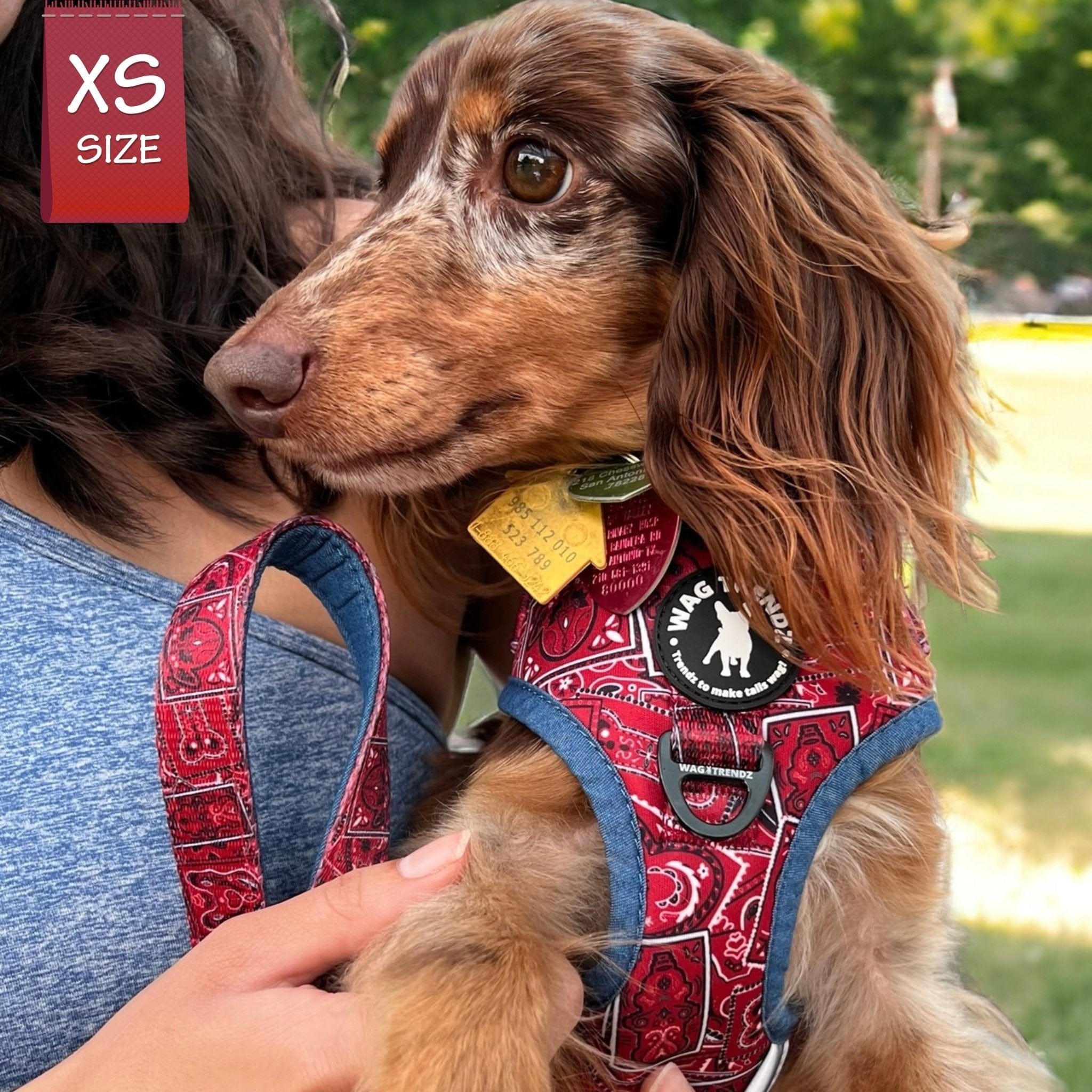 No Pull Dog Harness - Bandana Boujee - Red | Wag Trendz®