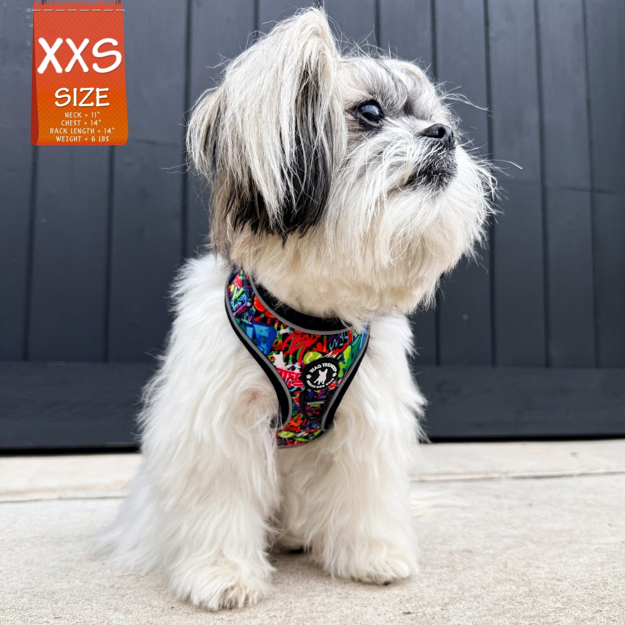 No Pull Dog Harness - Adjustable - Front Clip - worn by an extra small dog  standing on road - multi-colored street graffiti design - Wag Trendz