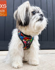 No Pull Dog Harness - Adjustable - Front Clip - worn by an extra small dog  standing on road - multi-colored street graffiti design - Wag Trendz