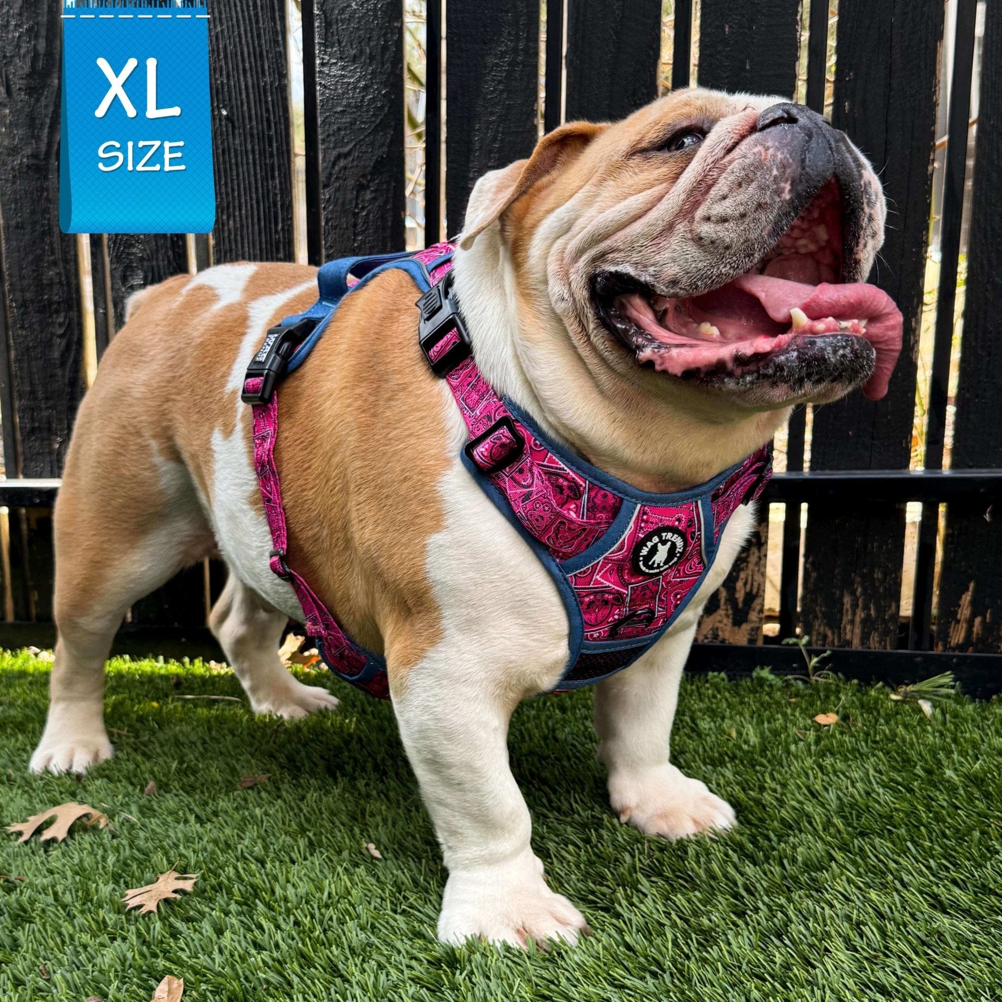 No Pull Dog Harness With Handle - Hot Pink | Wag Trendz®