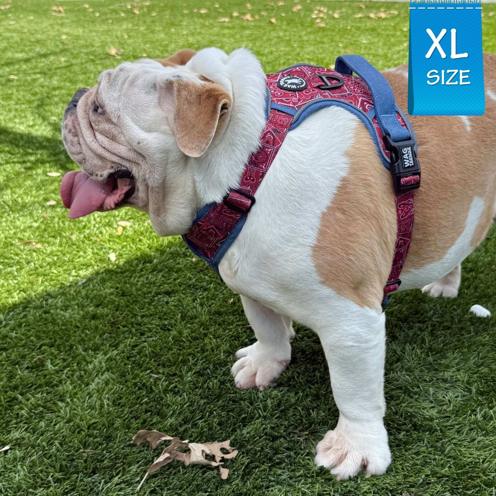 No Pull Dog Harness - Red - Bandana Boujee | Wag Trendz®