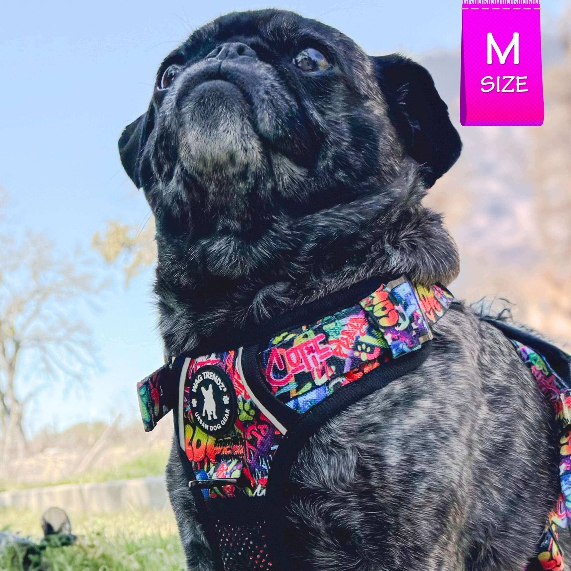 No Pull Dog Harness Street Graffiti Exclusive Wag Trendz®