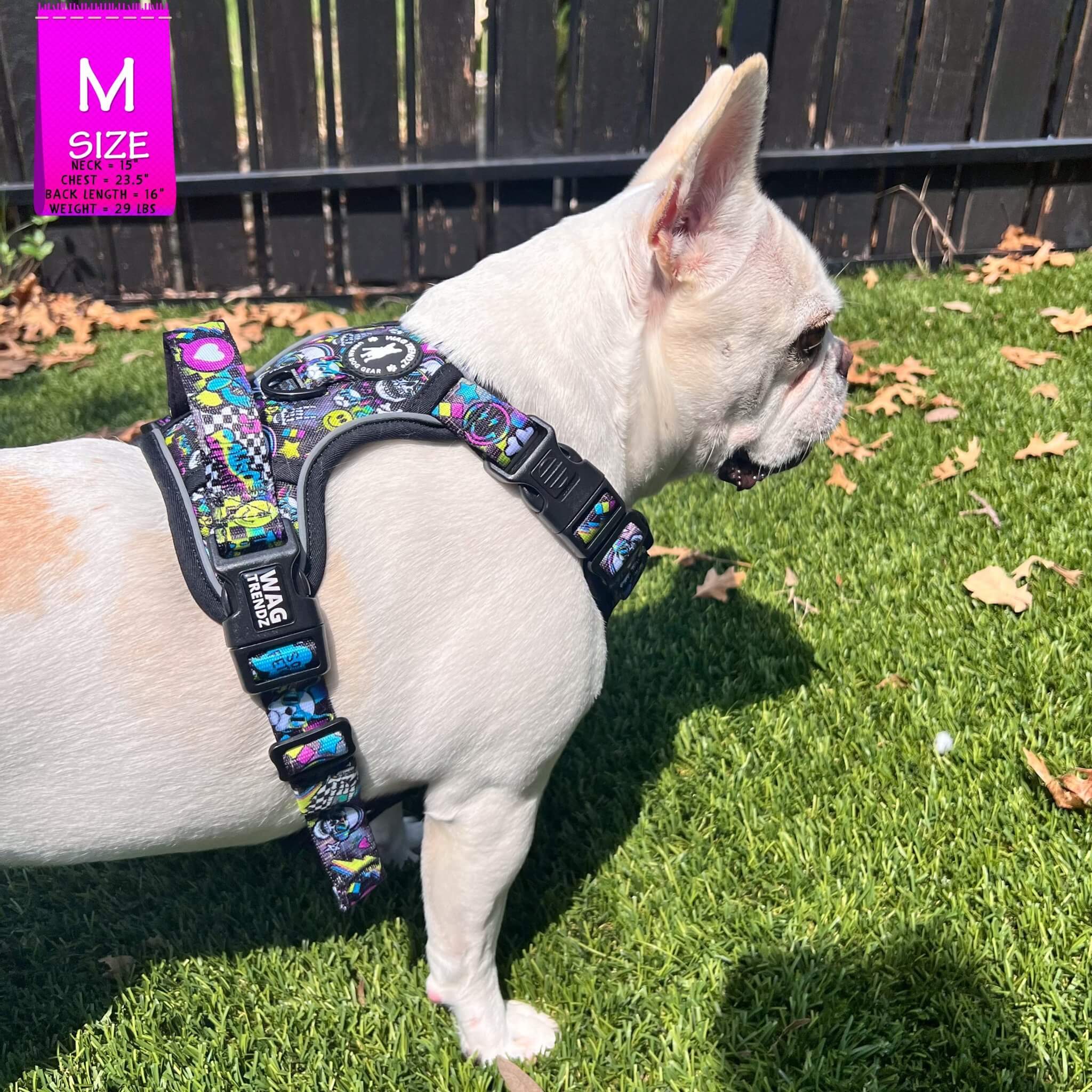 xigua Skull Dog Harness, No Pull Pet Vest Harness Reflective Breathable Small ＆ Medium Dog Harness with Nylon Handle Sugar Skulls No Pull Dog Harness \u2013 Beast \u0026 Buckle