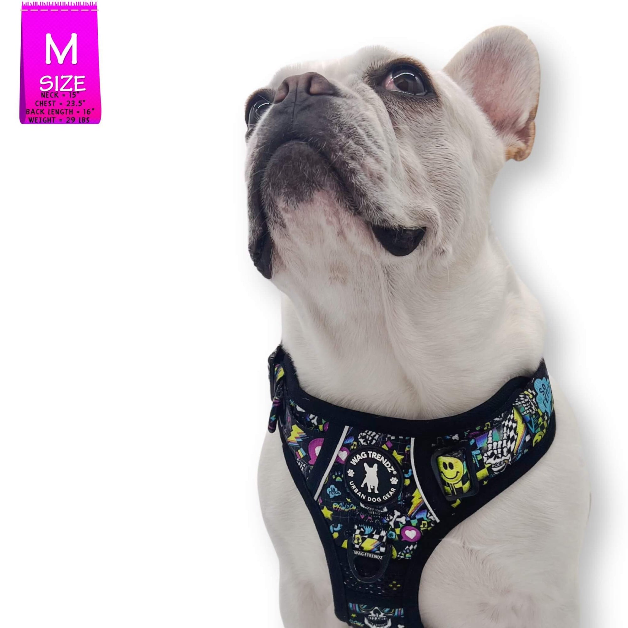 No Pull Dog Harness W/ Handle Skull Society Wag Trendz®