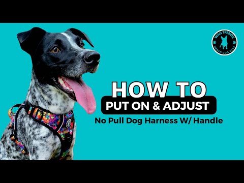 Dog Harness - Reflective and No Pull - How To Put On A Dog Harness and Adjust Video - Wag Trendz