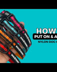 Video: How to put on and adjust dog collar
