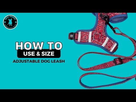 Dog Harness and Leash Set | Street Graffiti