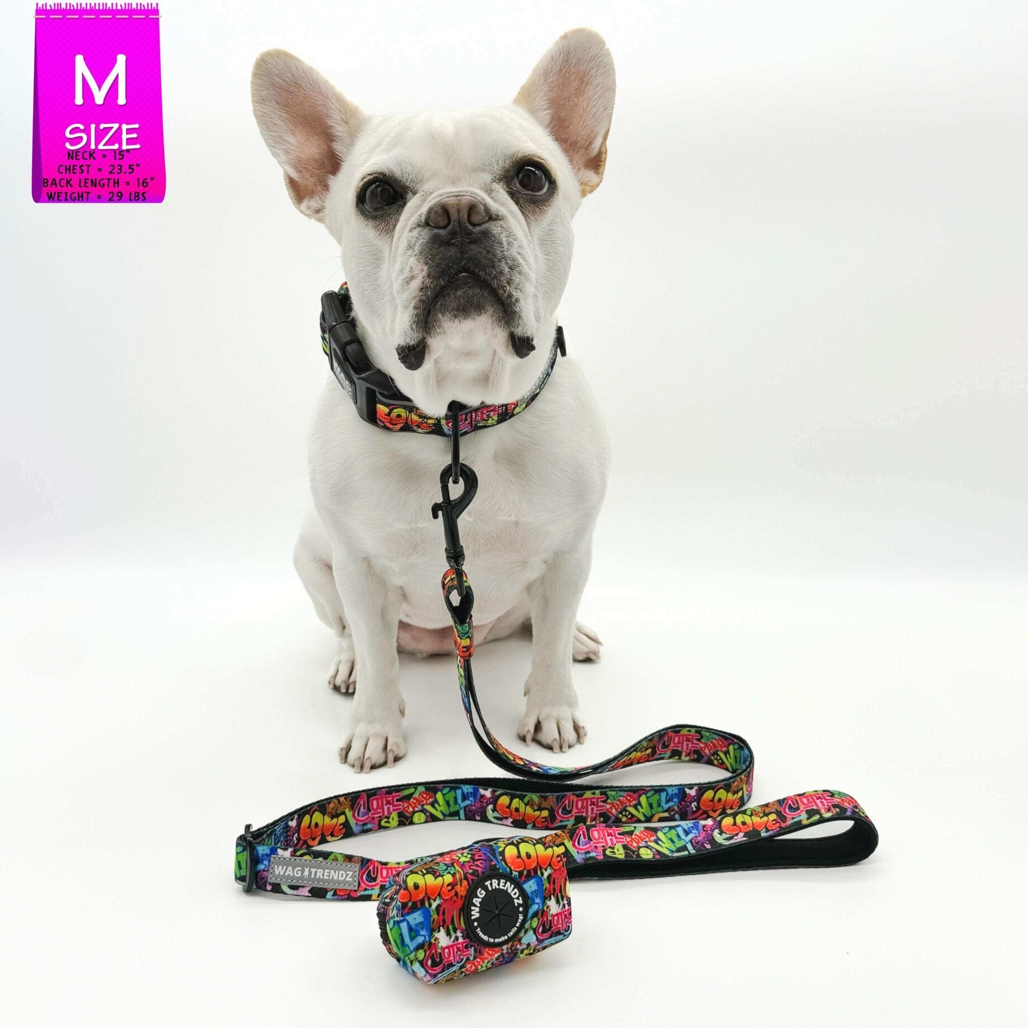 Reflective Dog Collar - Urban Street Graffiti | Wag Trendz®