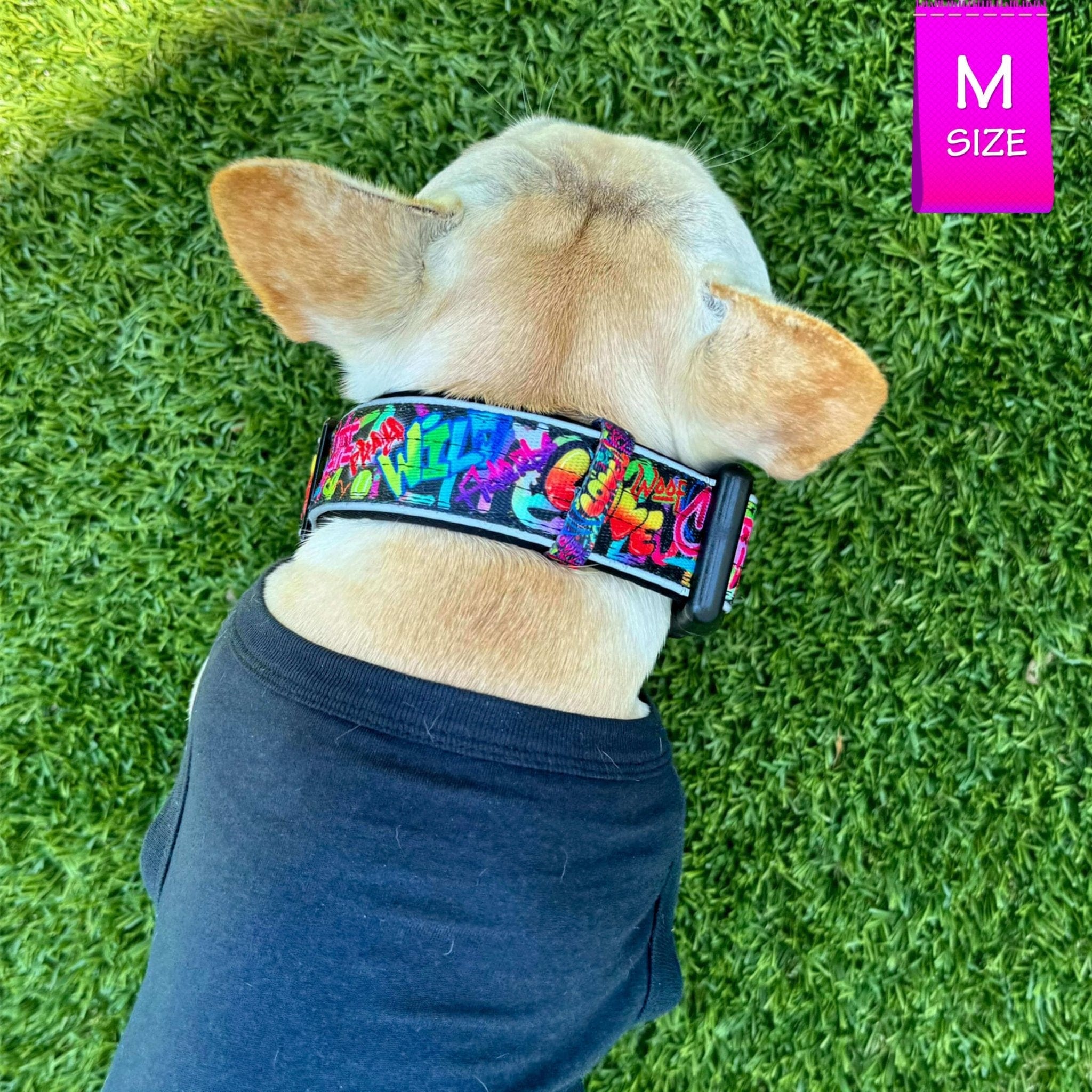 Reflective Dog Collar - Urban Street Graffiti | Wag Trendz®
