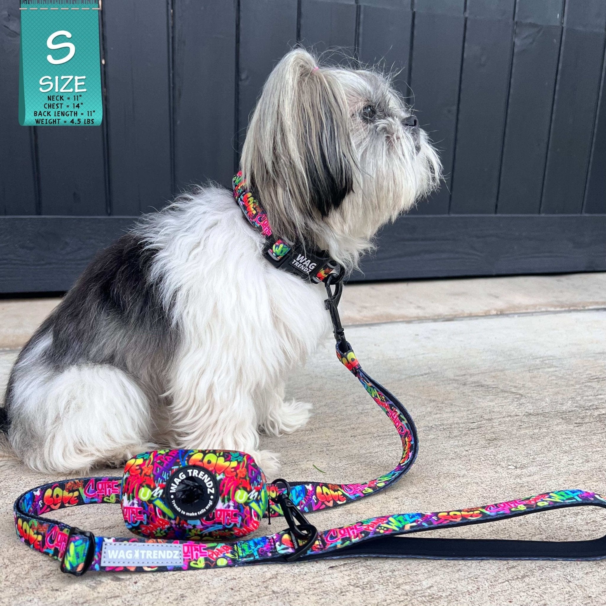 Reflective Dog Collar - Urban Street Graffiti | Wag Trendz®