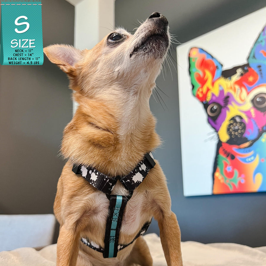 H Dog Harness - Roman Dog Harness - Chihuahua wearing small black with white paint splatter harness and teal accents - sitting indoors looking up with gray wall and large colorful Chihuahua painting in background - Wag Trendz